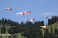 Eine grandiose Formation der Patrouille Suisse und des Hunters Eine grandiose Formation der Patrouille Suisse und des Hunters