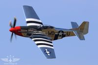 Stolze 1'700 PS treiben die Musang an Stolze 1'700 PS treiben die Musang an