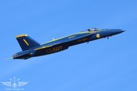 IMG_9277
