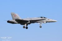 IMG_1401