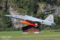 Die letzten Tiger von Meiringen Die letzten Tiger von Meiringen