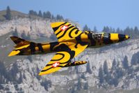 Die Hunter präsentierten sich eindrücklich in der malerischen Landschaft Die Hunter präsentierten sich eindrücklich in der malerischen Landschaft