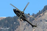 Super Puma Display Team Trainingskurs 2025 Super Puma Display Team Trainingskurs 2025