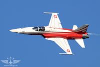 IMG_8492